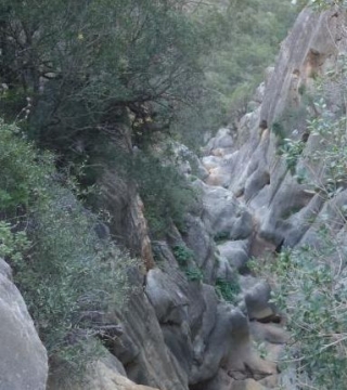 Camino a la cueva.jpg